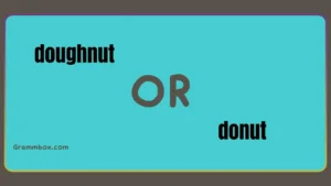 doughnut or donut