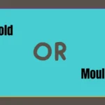 Mold or Mould