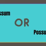Opossum or Possum