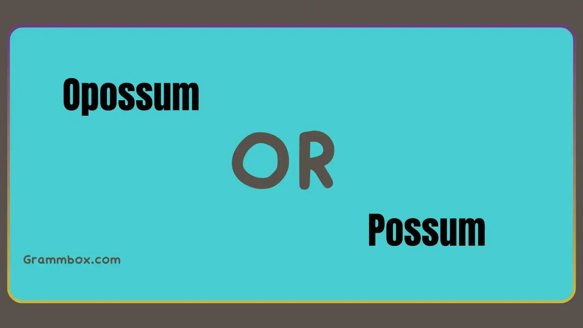 Opossum or Possum