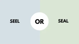 Seel or Seal