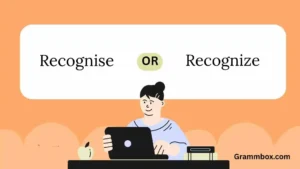 Recognise or Recognize